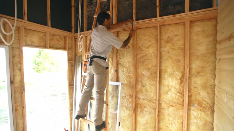 Best Garage Insulation  in Georgiana, AL